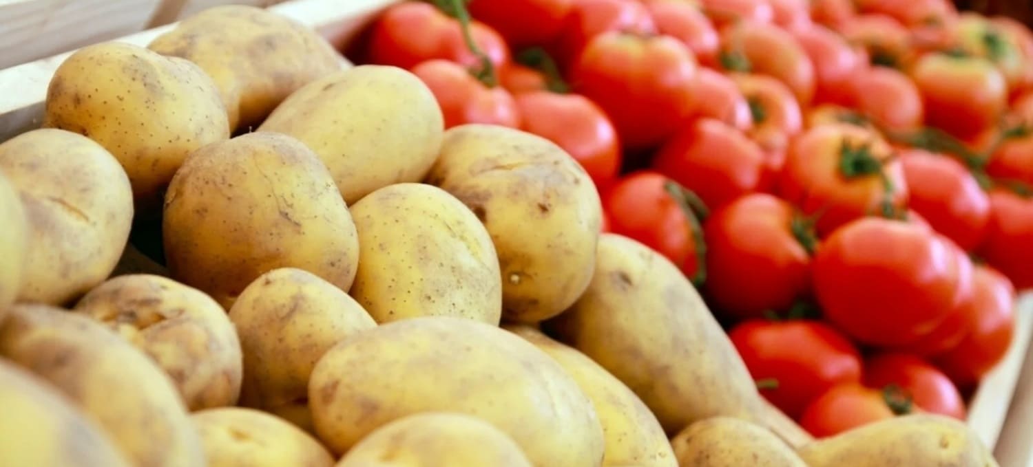 الزراعة تعلن عن طفرة كبيرة في صادرات البطاطس خلال هذا الموسم